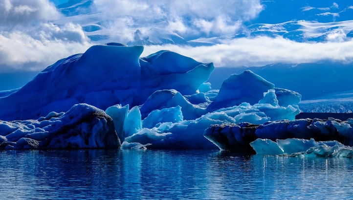 Lessons from Project X: Redefining risk and fear in times of environmental crisis